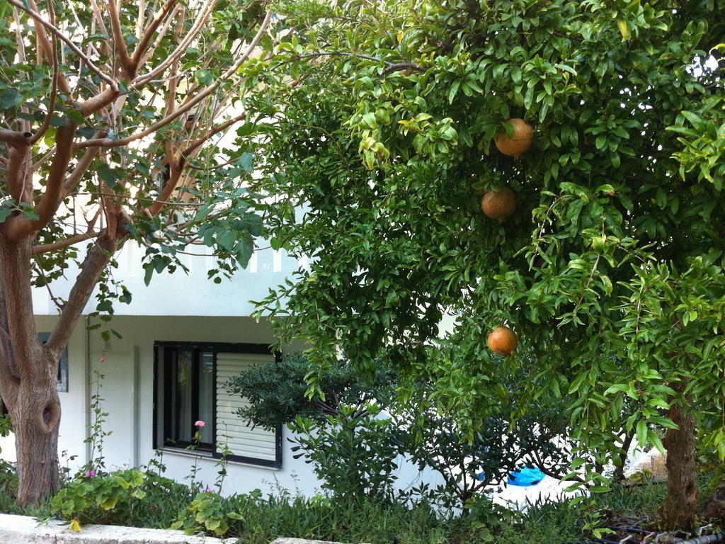 Emilia Apartments Plakias Dış mekan fotoğraf