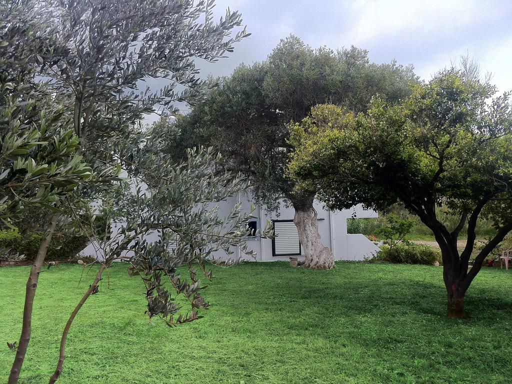 Emilia Apartments Plakias Oda fotoğraf