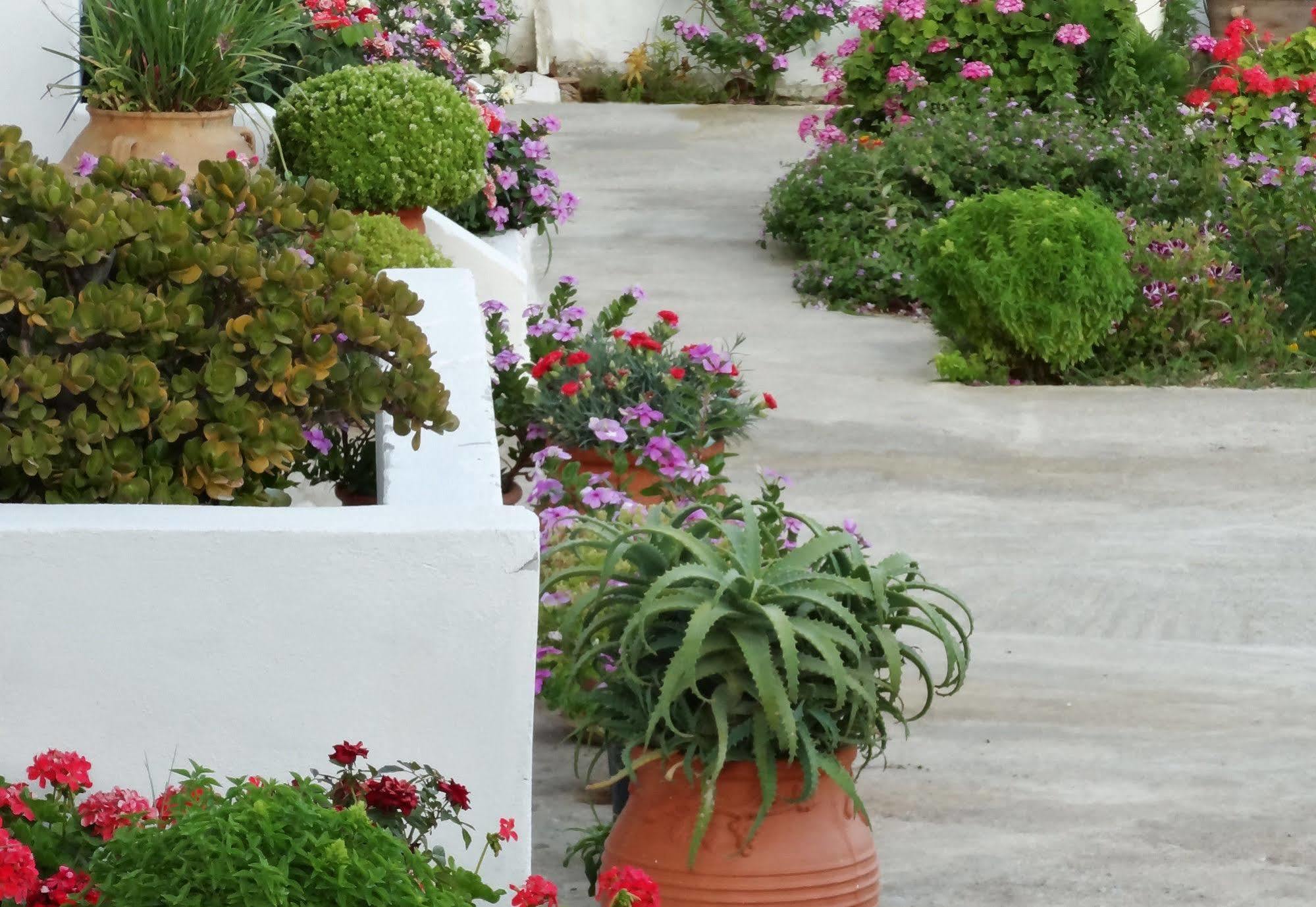 Emilia Apartments Plakias Dış mekan fotoğraf