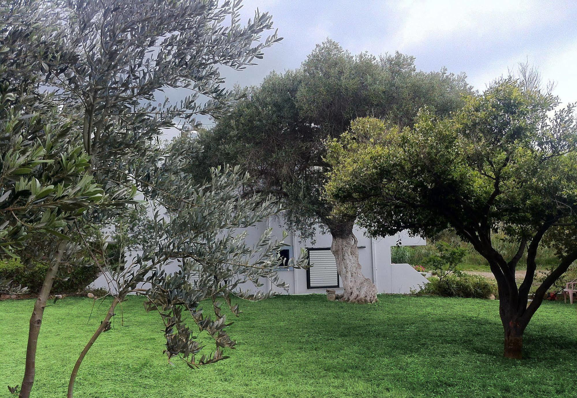 Emilia Apartments Plakias Dış mekan fotoğraf